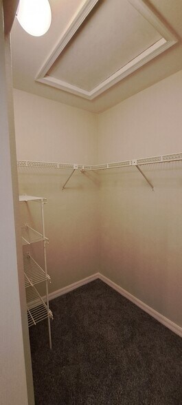 Mainbed room walk in closet - 10011 Maddox Ln