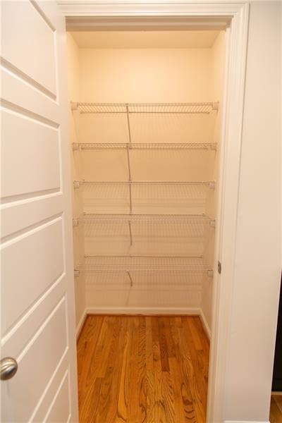 Building Photo - 1547 Delia Dr