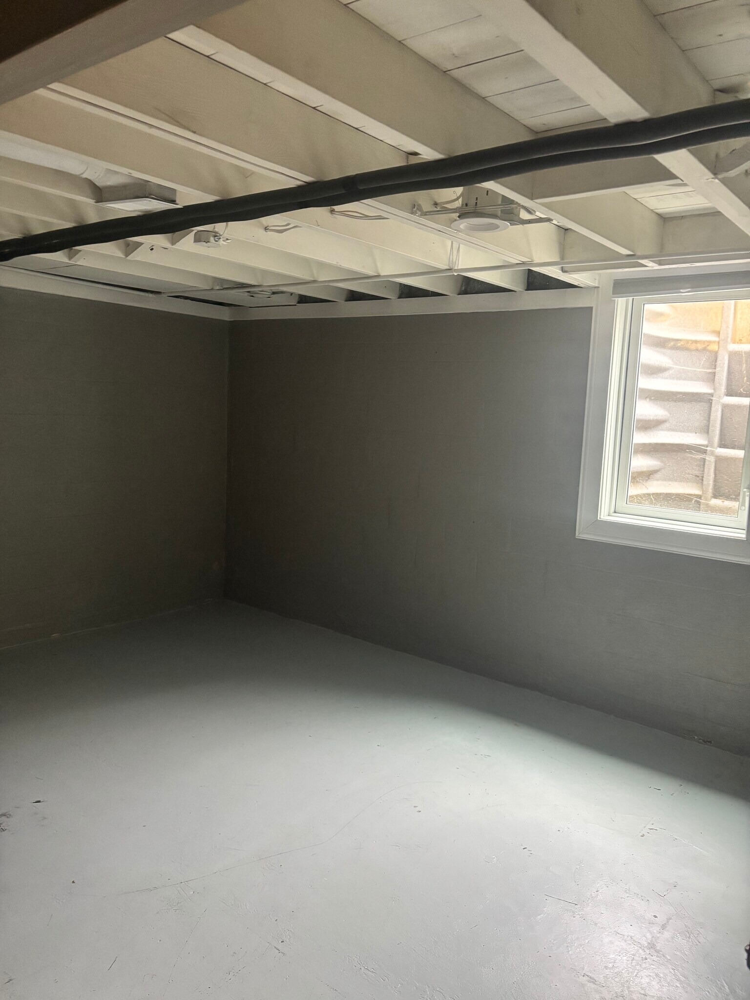 basement bedroom - 2227 Cheltenham Rd