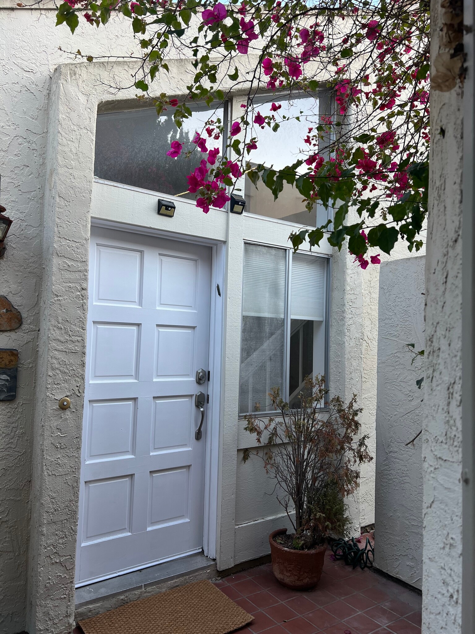 Building Photo - 6248 Caminito Araya