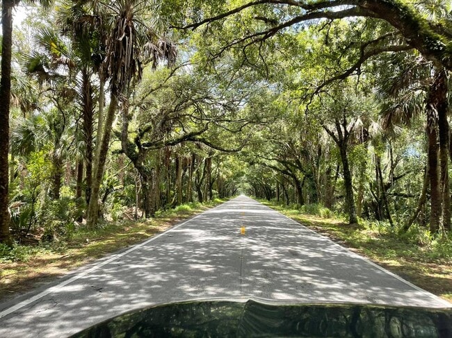 Building Photo - 4502 Wild Turkey Trail