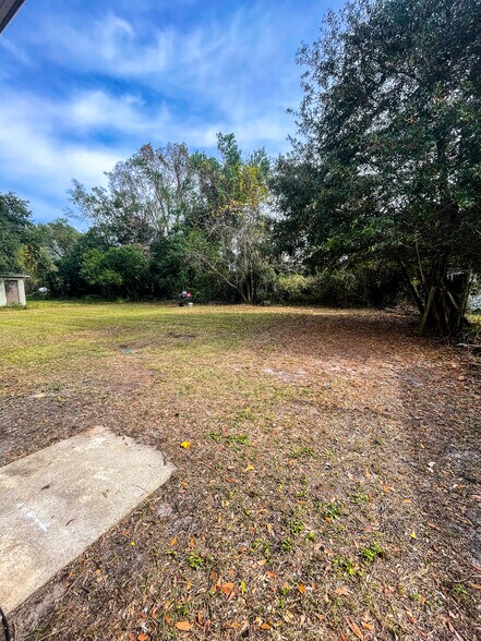 Backyard - 910 Calhoun Ave