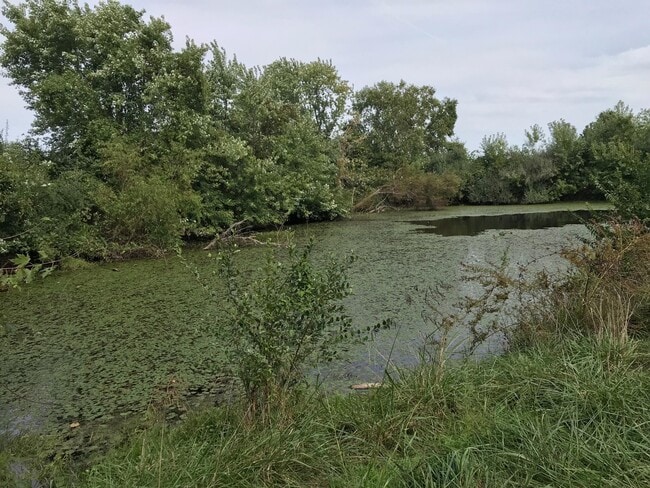 Building Photo - 5900 S River Hills Rd