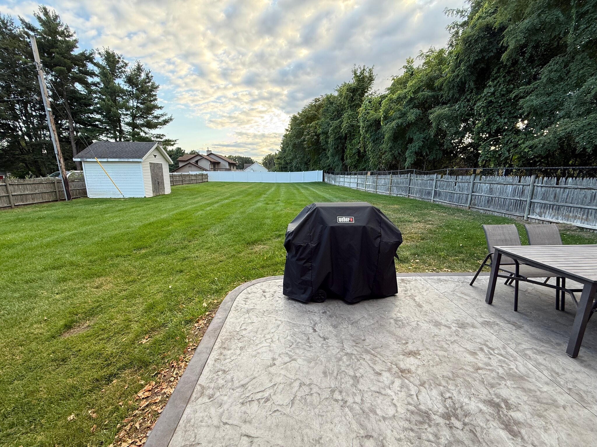 Privacy fenced Backyard, lush lawn & storage shed - 26 Patricia Ln
