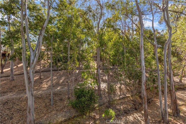 Building Photo - 22317 Vista Verde Dr