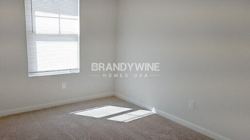 Building Photo - 1930 Old Dogwood