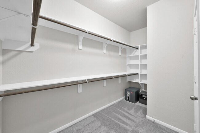 Building Photo - 2906 Tulip Poplar Ct
