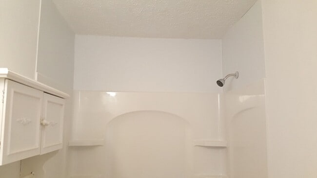 Building Photo - One Level House off Old Forest Road