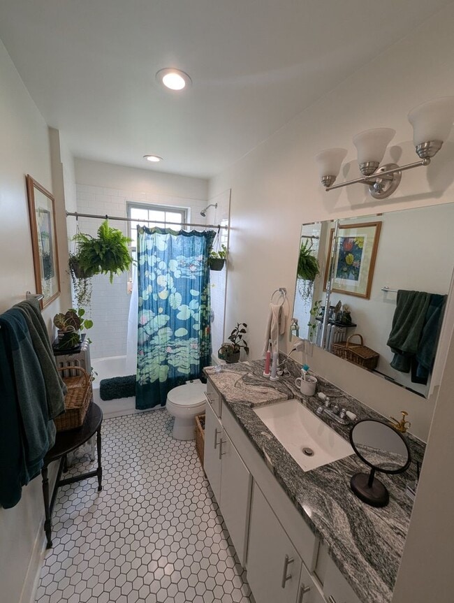 Building Photo - Newly Renovated 1 Bedroom in Rogers Park/L...