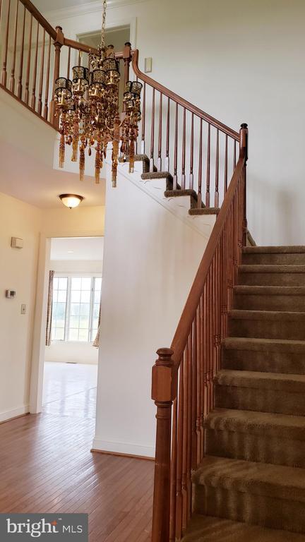 Building Photo - 14 Hayworth Cir