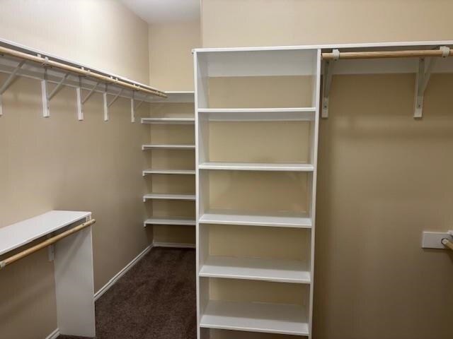 Building Photo - 8605 Owlcreek Pass Ct