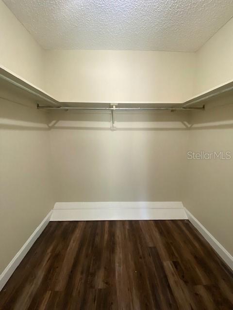 Building Photo - 1365 Penny Royal Ct