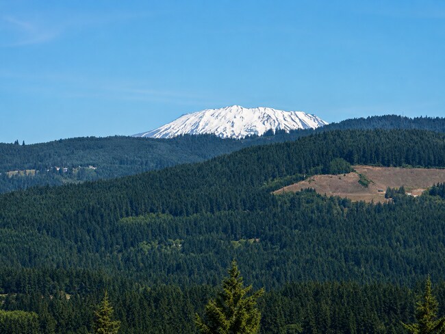 Building Photo - Stunning Custom Camas Home