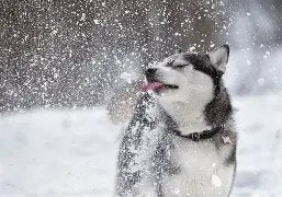 Building Photo - Northlake Lofts