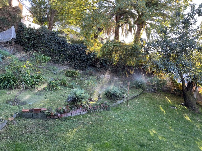 Backyard - 2142 Baxter St