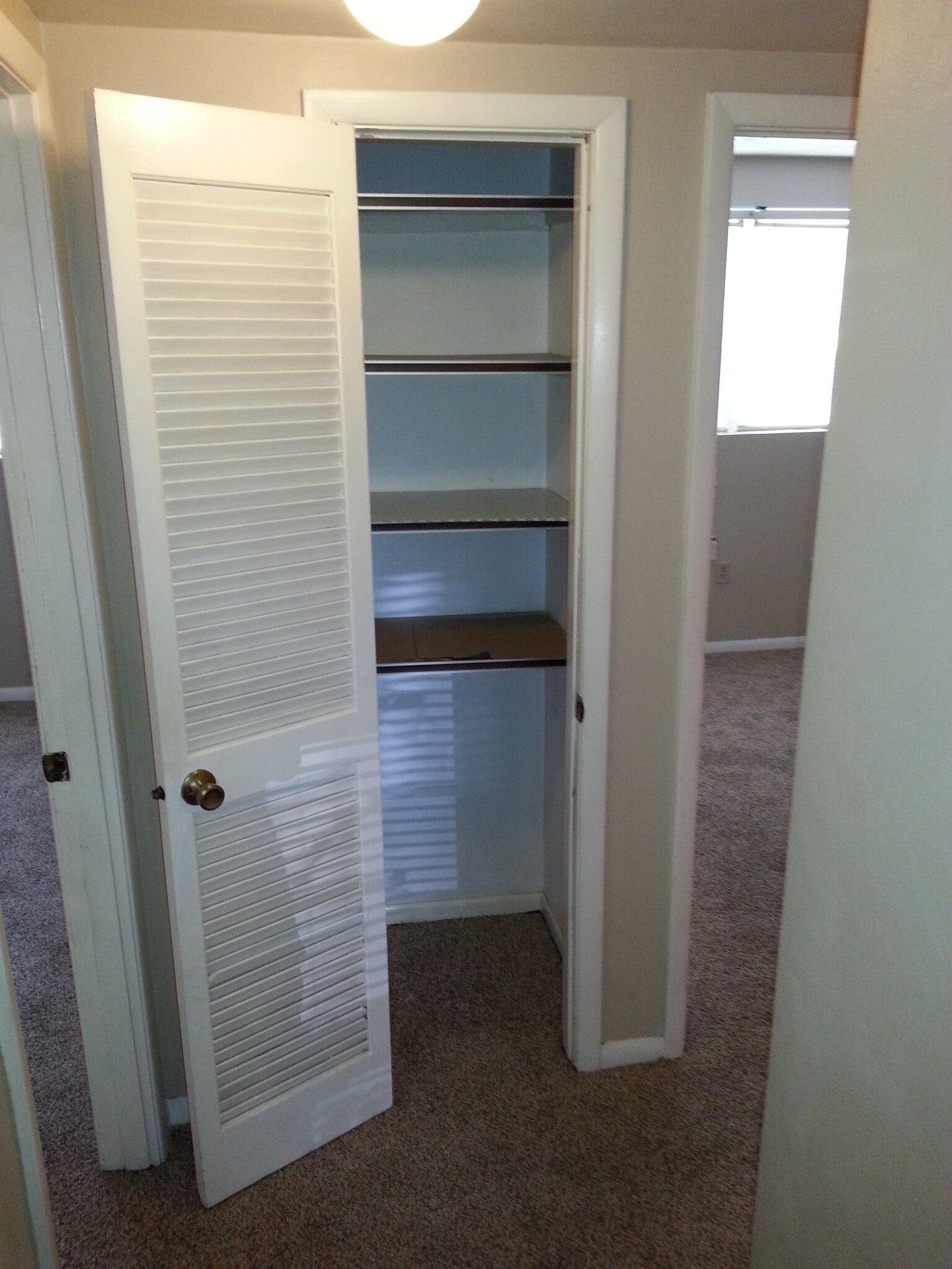 Linen Closet - 102 Braden Ct