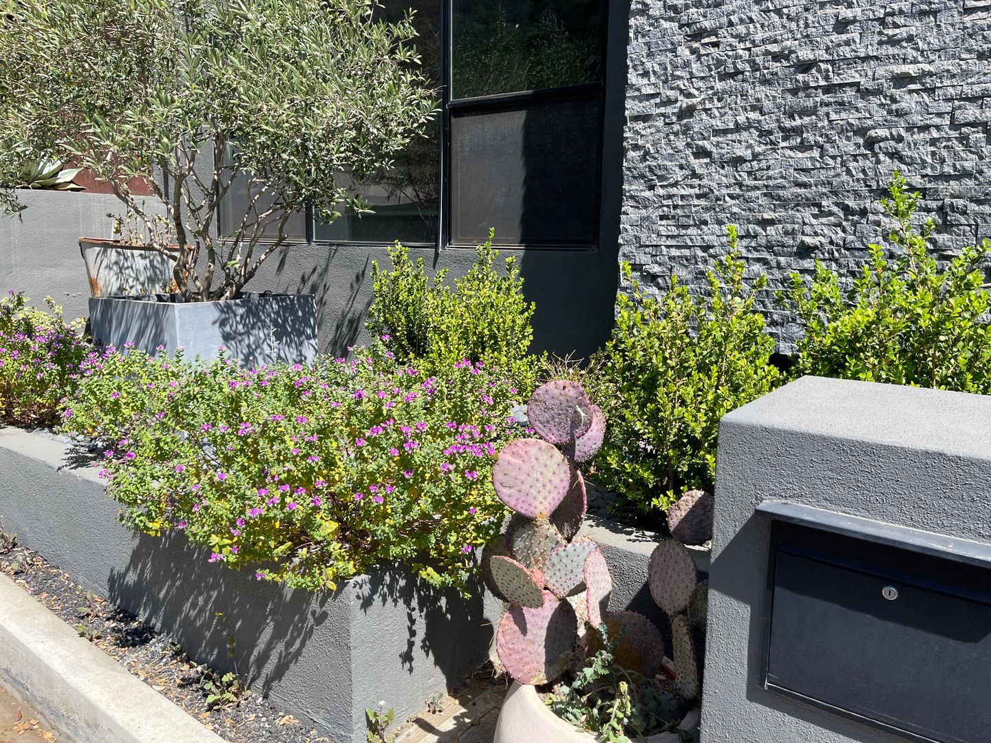 Building Photo - Live in the 90210! Stunning Modern Newly Renovated 2 Bedroom plus bonus room home in Beverly Hills!