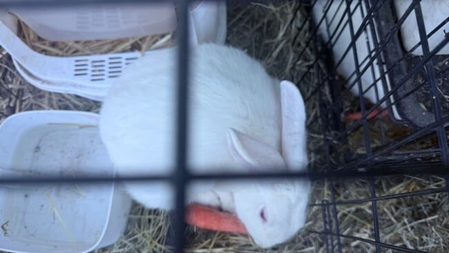 Building Photo - 33244 Churchill St