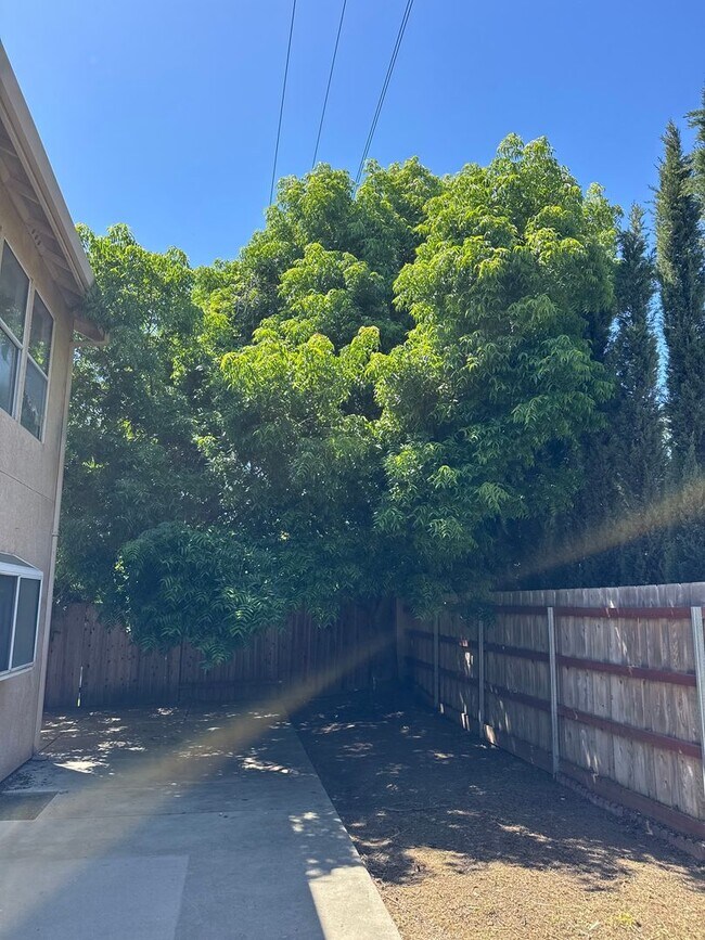 Building Photo - Ready to Move? Pet Friendly