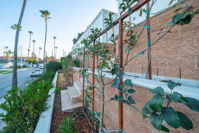 Building Photo - Charming Redondo Beach Home Rental!