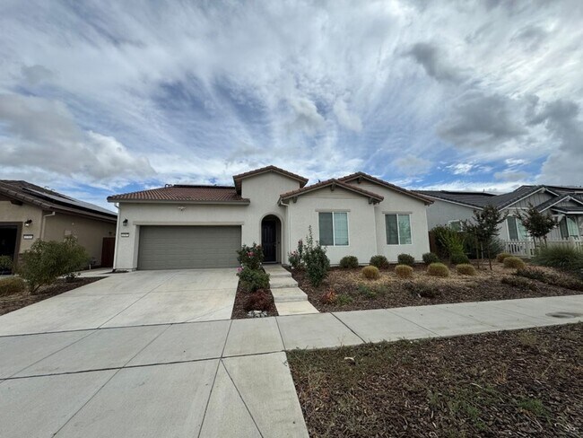 Building Photo - Beautiful Springlake Home with Solar and S...
