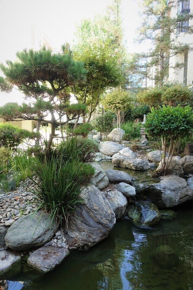 community garden - 222 S Central Ave