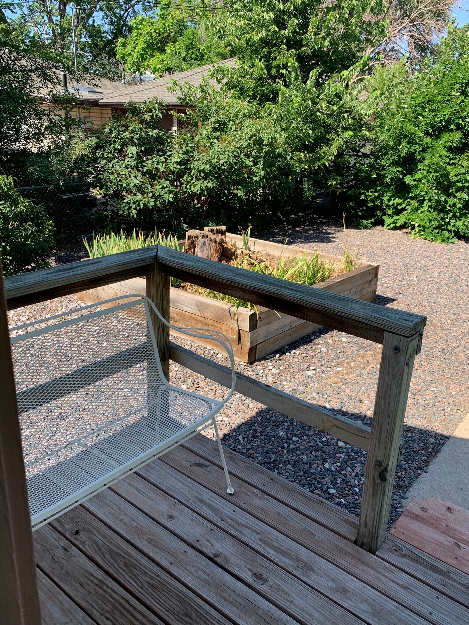Backyard - 2439 9th Ave