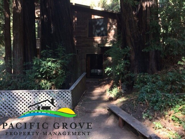 Building Photo - Cabin on Palo Colorado