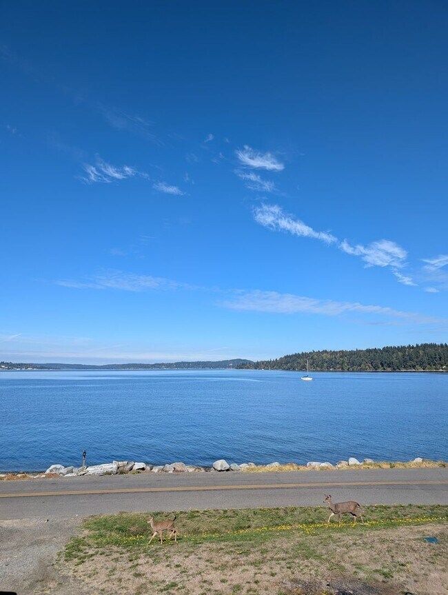 Building Photo - A Luxury Beachfront Lodge Awaits! For Rent...