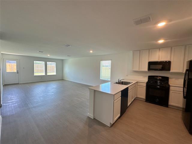 Building Photo - 3610 Scarlet Sage Wy