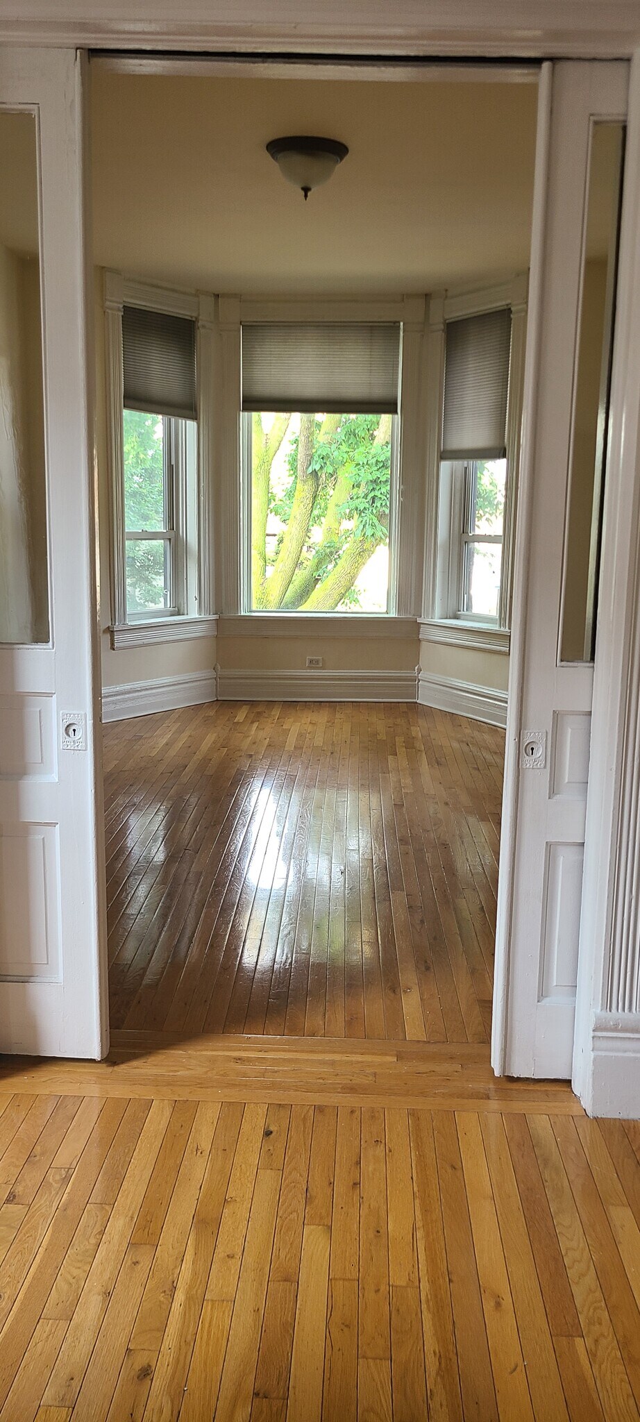 Living Room - 3363 S Lowe Ave