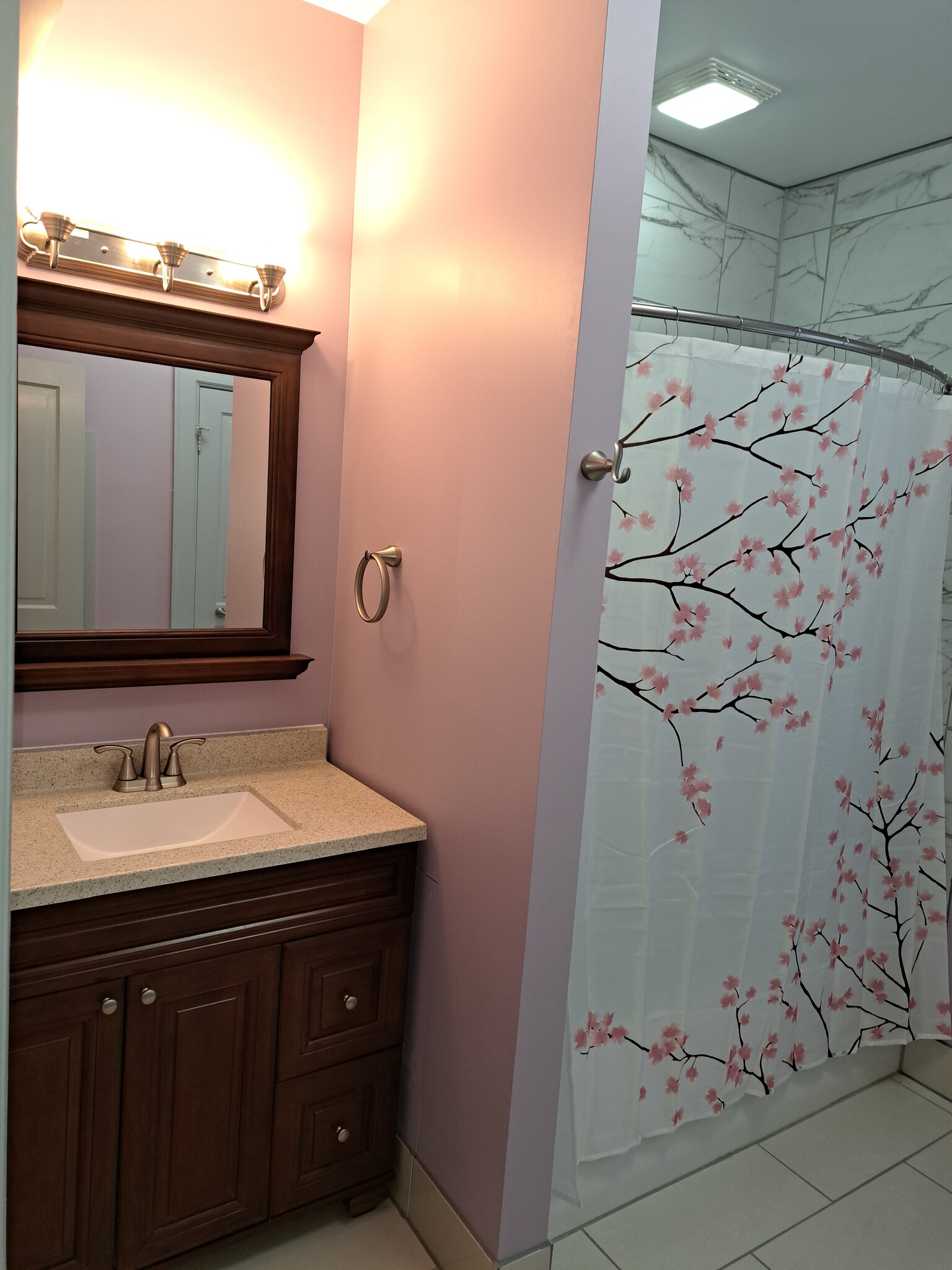 Bathroom - 303 E Lincoln Ave