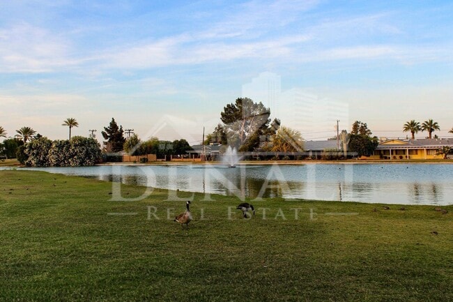 Building Photo - 9807 W Mockingbird Dr