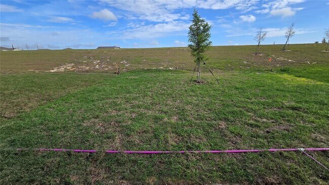 Building Photo - 3363 Alexander Dr