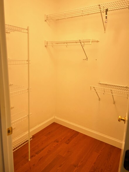 Primary Closet 1 - 14 Hollyhock Knoll Ct