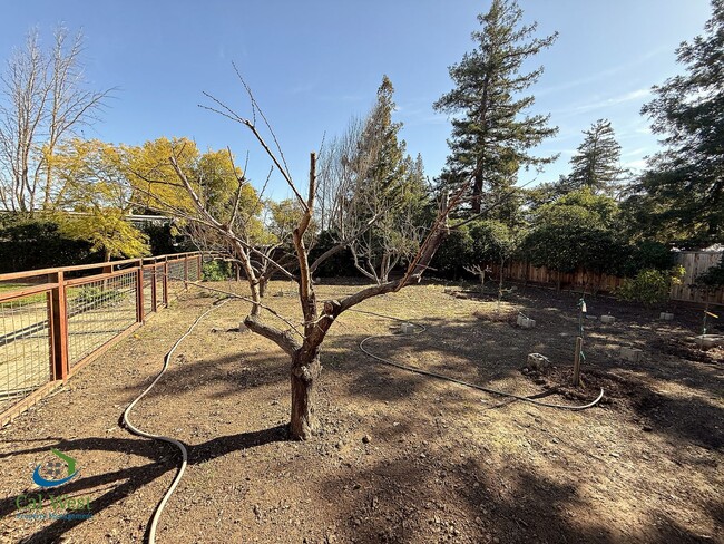 Building Photo - Coming Soon! $5995 - Spacious Remodeled 4 Bed 2.5 Bath Home on 1/2 Acre Lot in Cambrian Park/Grea...