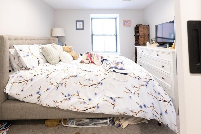 Building Photo - 1 bedroom in Boston MA 02118