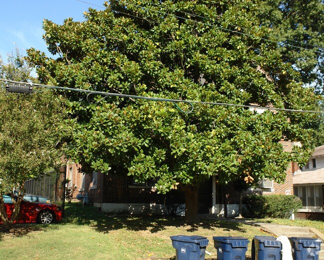 Building Photo - 45 S Rembert St