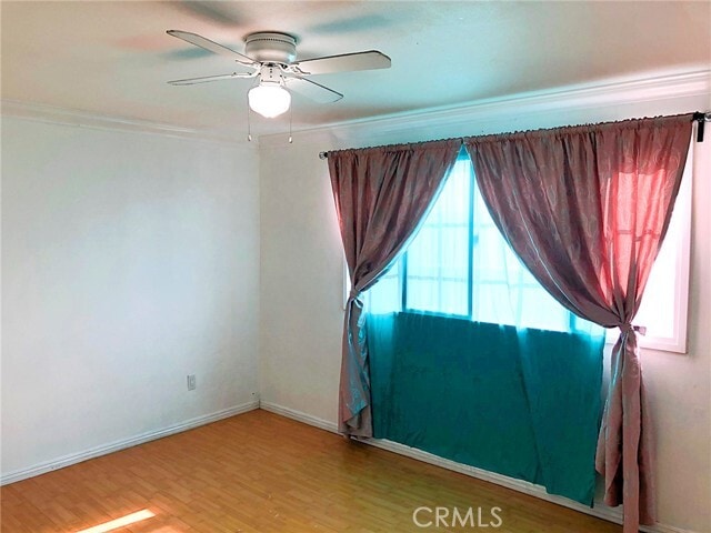 Building Photo - 832 Olney St