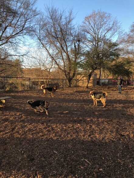 The Neighborhood - Foggy Bottom Dog Park - 2515 K St NW