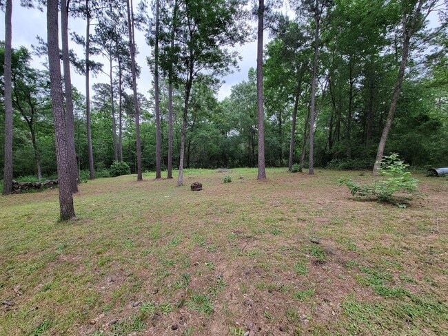 Building Photo - BEAUTIFUL 4 BEDROOM 2 BATH HOME WITH ALL THE UPGRADES ON 1 ACRE LOT IN NEW WAVERLY, TEXAS