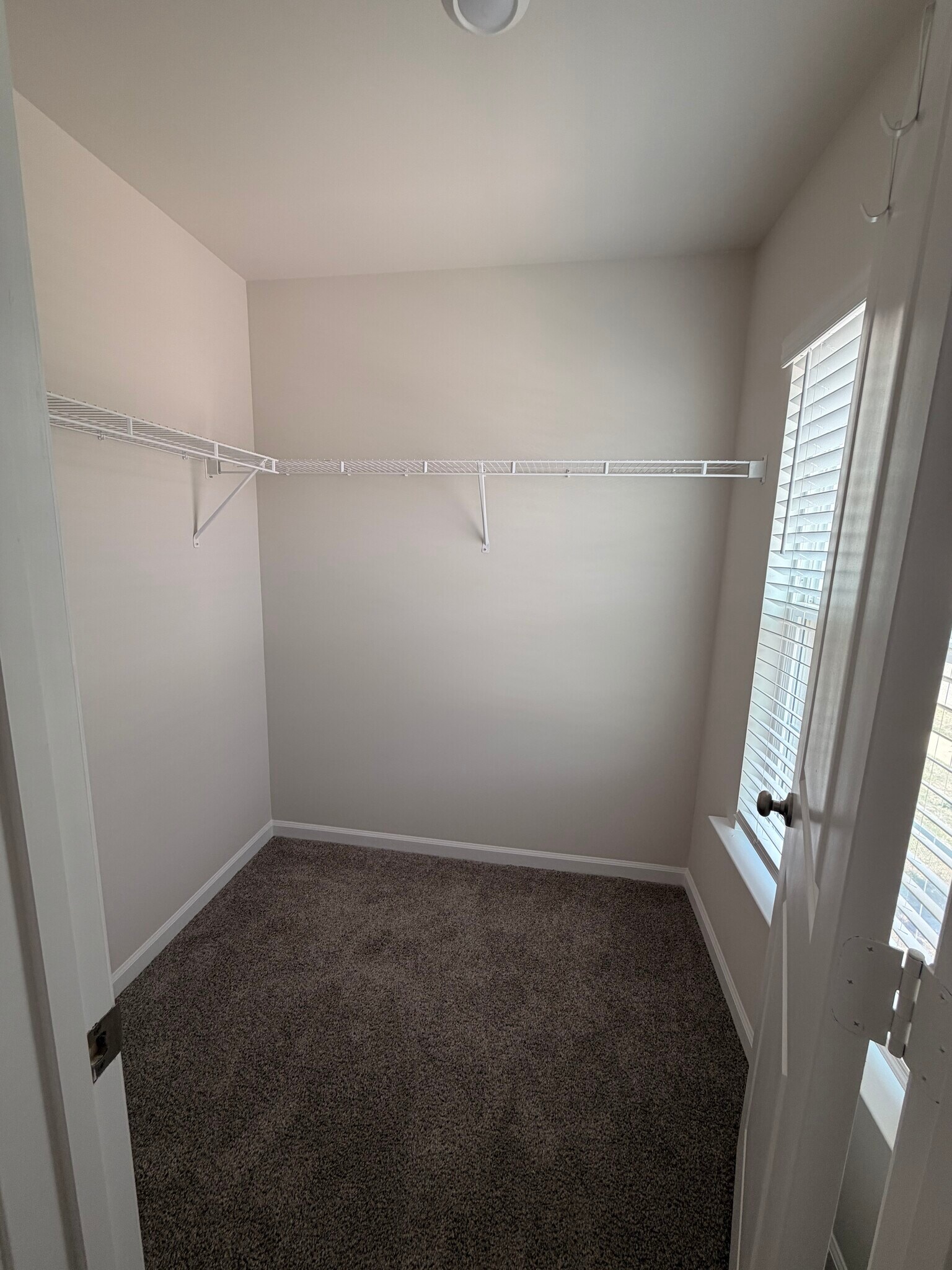Building Photo - 706 Common Widgeon Way