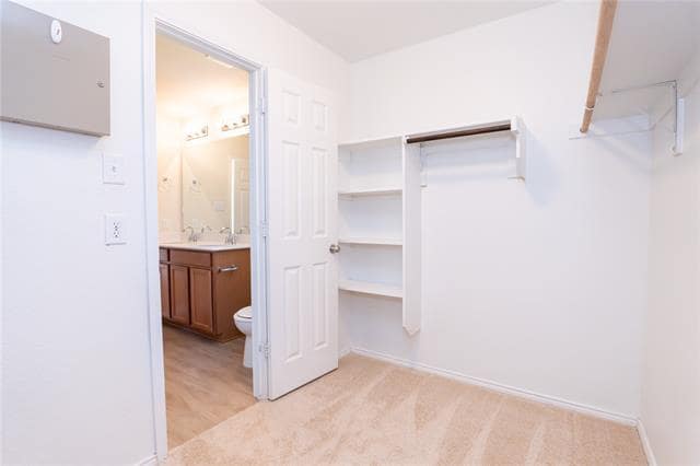 Building Photo - 3116 Montserrat Creek Dr