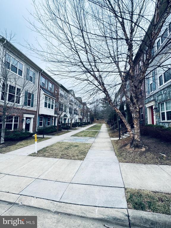 Building Photo - 4436 Potomac Highlands Cir