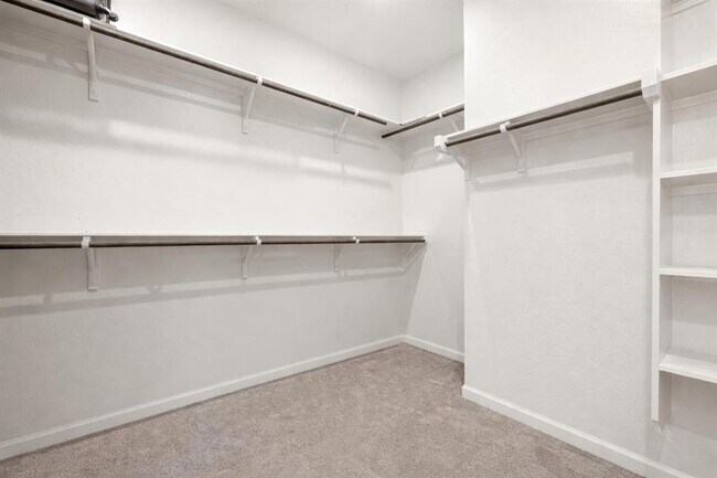 Building Photo - 1213 Thunderhead Trl