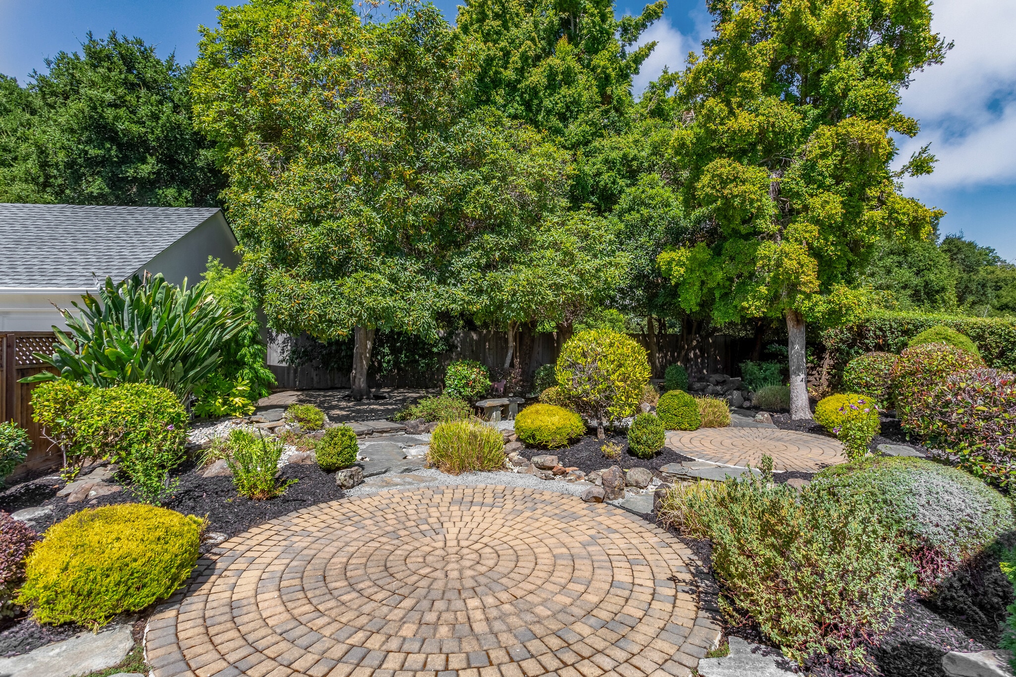 Back garden - 940 Sequoia Ave