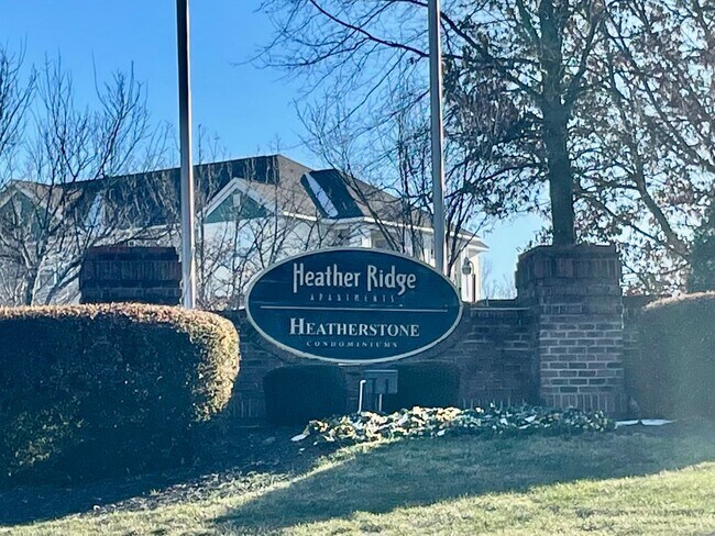 Building Photo - MeadowVista9041