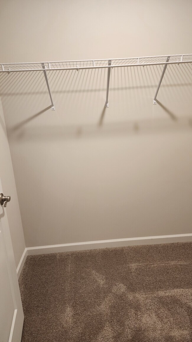 Building Photo - 61 Snapdragon Dr
