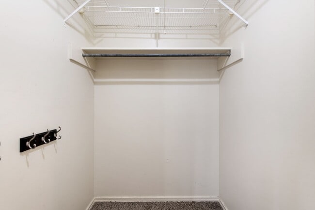 Building Photo - Available Now: Charming 3 Bed / 2 Bath in Rollingwood - Zoned to Eanes ISD - Large Yard