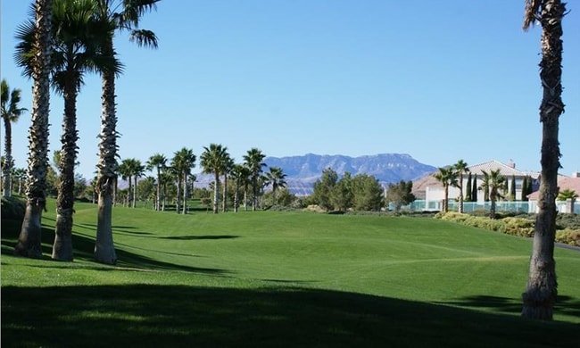 Building Photo - 494 Newberry Springs Dr